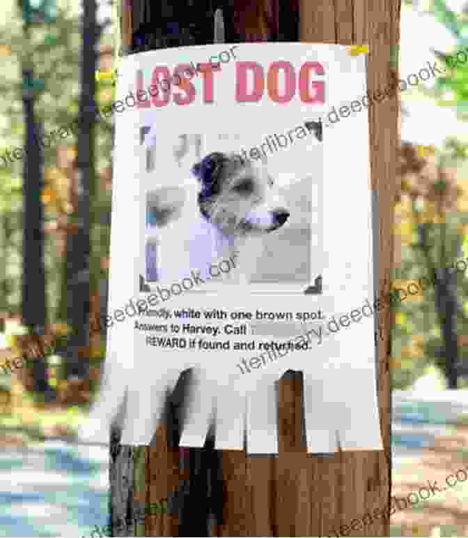 A Family Holding A Sign With A Photo Of Their Missing Dog, Holly Finding Holly (The Finding Home 5)