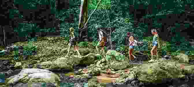 A Group Of Adventurers Traveling Through A Dense Forest The Witch Who Knew The Game (Pixie Point Bay 4): A Cozy Witch Mystery