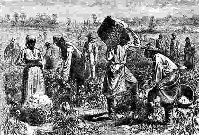 A Group Of Slaves Working In A Cotton Field Old Plantation Days Annotated James H Hutson