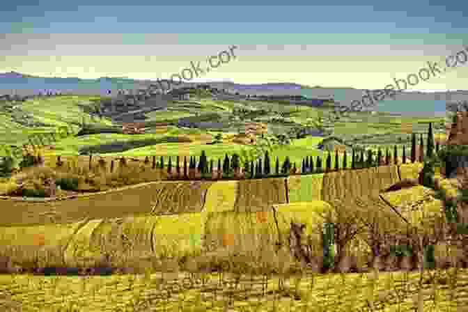 A View Of Rolling Hills Covered In Vineyards In Tuscany, Italy Experience Northern Italy 2024 A Z R