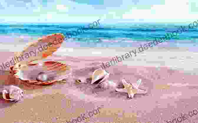 Beautiful Seashells On A Sandy Beach Seashell Beauty And The Concept Of Nature At Play