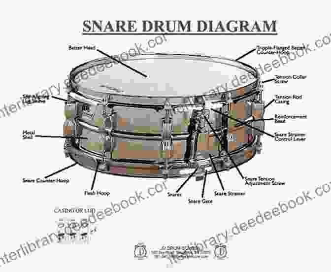 Diagram Of The Drum Syllabus Structure Drum Syllabus Term 2 (The Drum Syllabus 3)
