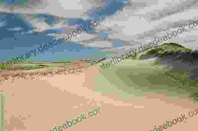 Thoreau Observing Sand Dunes On Cape Cod Thoreau S Cape Cod Rob Lewis