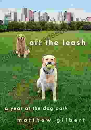 Off The Leash: A Year At The Dog Park