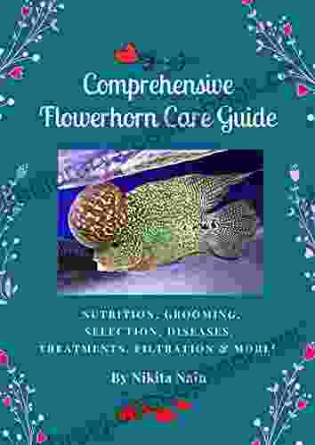 Comprehensive Flowerhorn Care Guide Nikita Nain