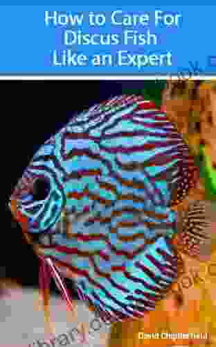 How To Care For Discus Fish Like An Expert (Aquarium And Turtle Mastery 3)