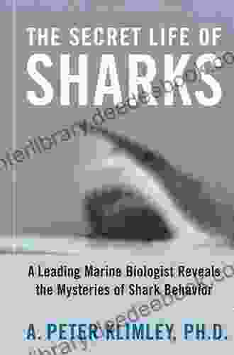 The Secret Life Of Sharks: A Leading Marine Biologist Reveals The Mysteries O