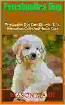 Pyredoodles Dog : Pyredoodles Dog Care Behavior Diet Interaction Costs And Health Care